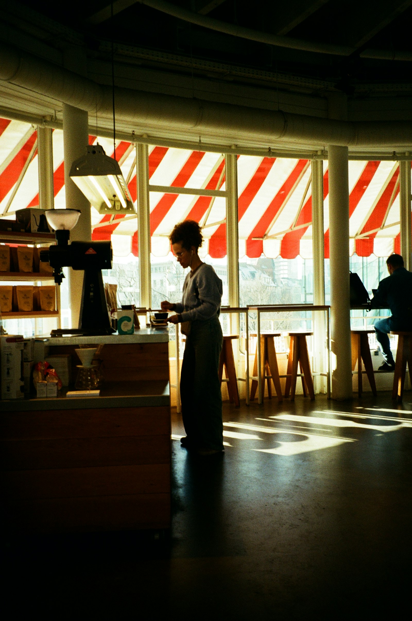 Portrait reference of a barista working in a sunlit cafe